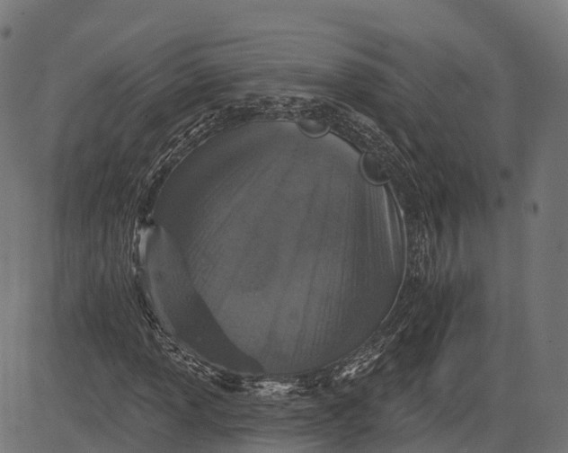 X0000084521013200703091556