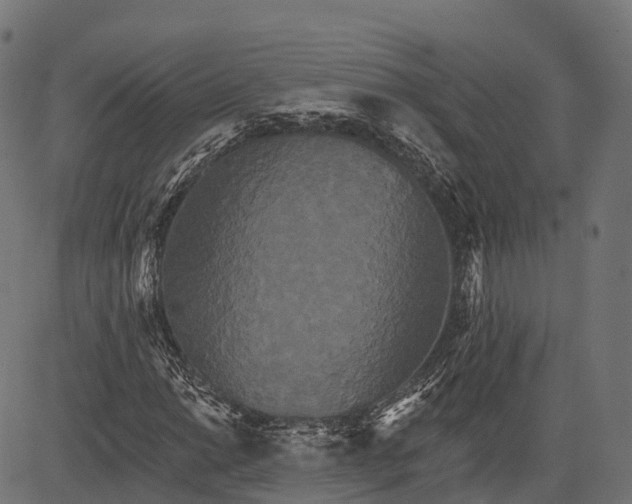 X0000084521014200703091556