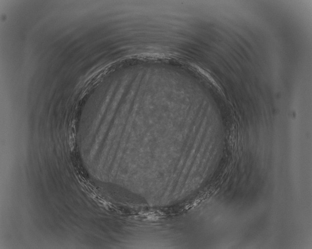 X0000084521015200703091556