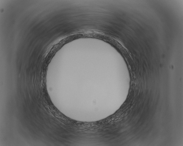 X0000084521016200703091556