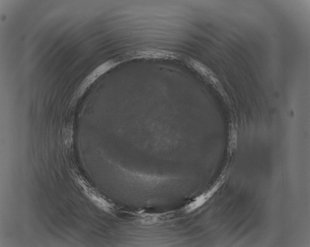 X0000084521017200703091556