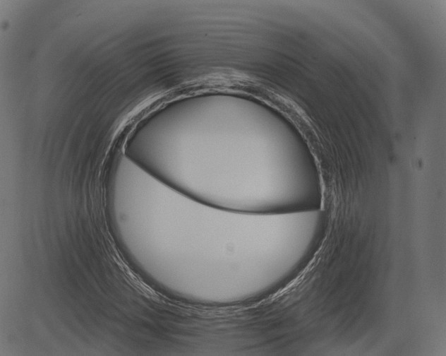 X0000084521018200703091556