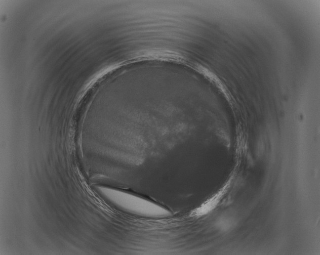 X0000084521019200703091556