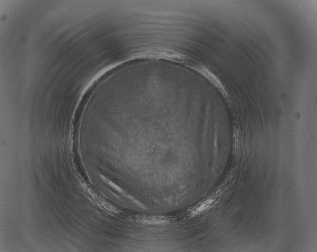 X0000084521020200703091556