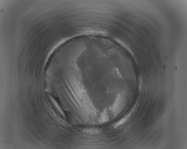 X0000084521021200703091556