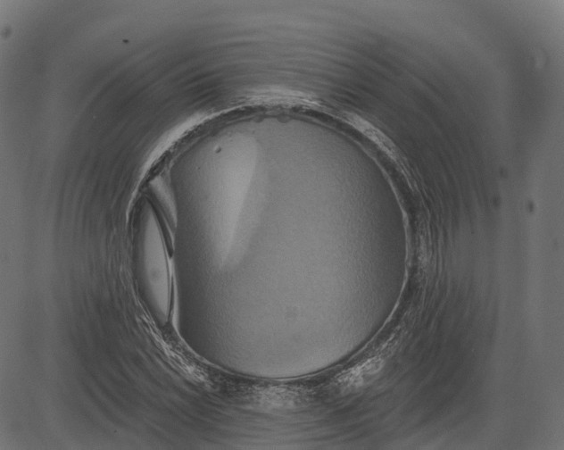 X0000084521022200703091556