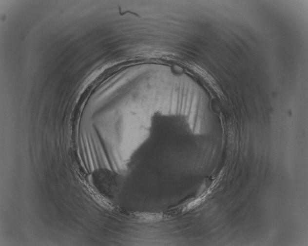 X0000084521023200703091556