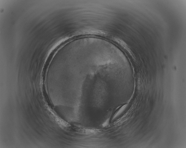 X0000084521024200703091556