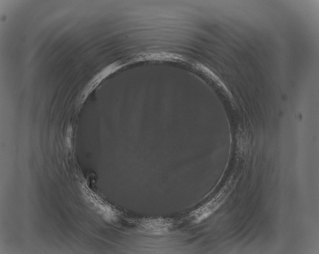 X0000084521025200703091556