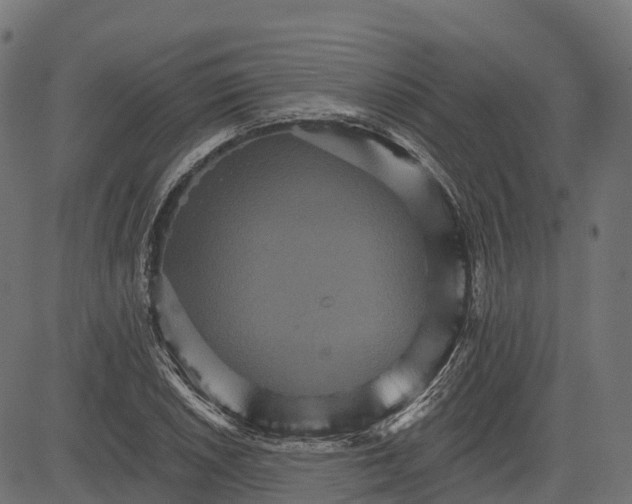 X0000084521026200703091556