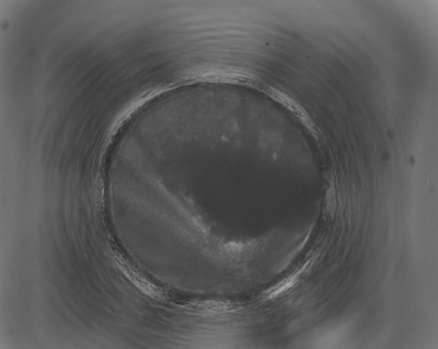 X0000084521027200703091556