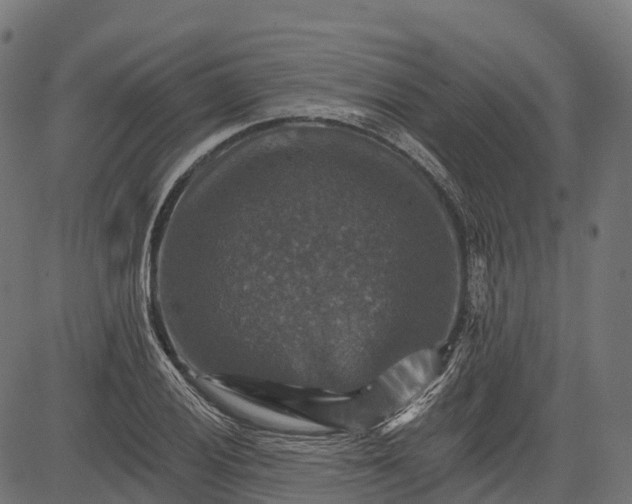 X0000084521028200703091556