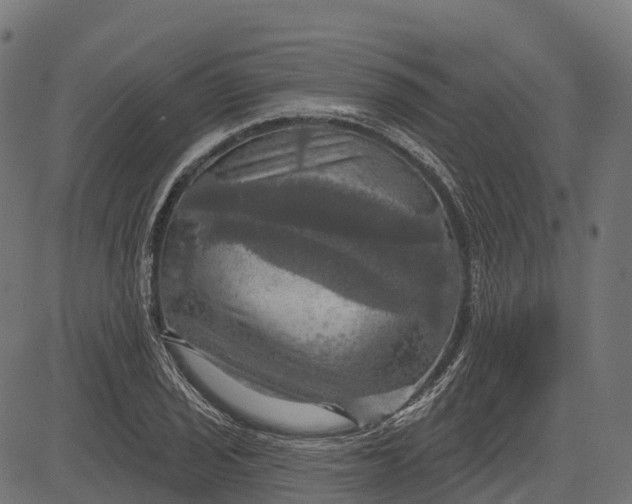 X0000084521029200703091556