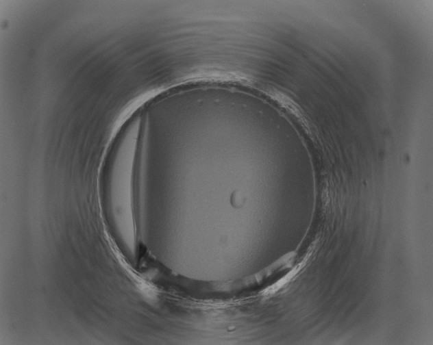 X0000084521030200703091556