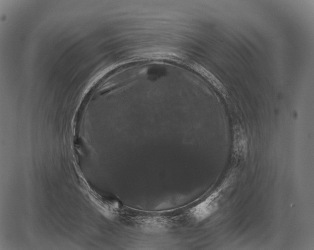 X0000084521031200703091556