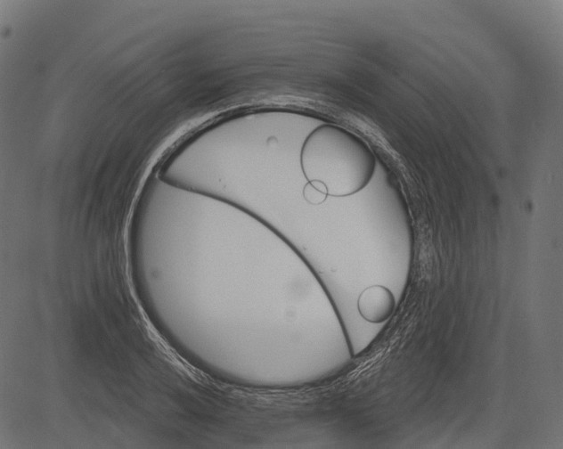 X0000084521032200703091556