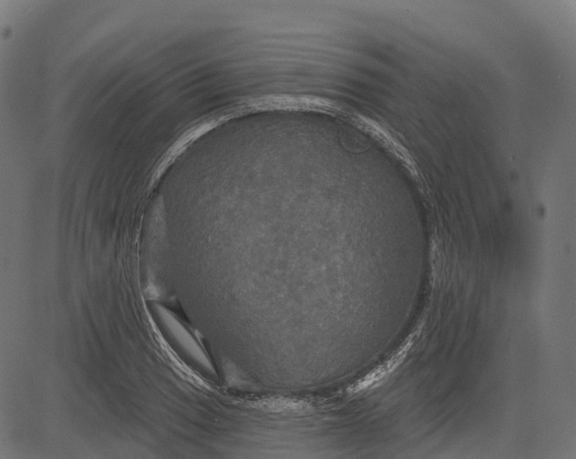 X0000084521033200703091556