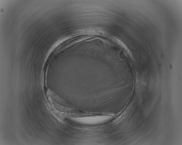 X0000084521035200703091557