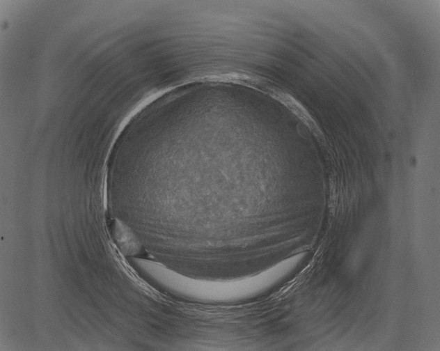 X0000084521036200703091557