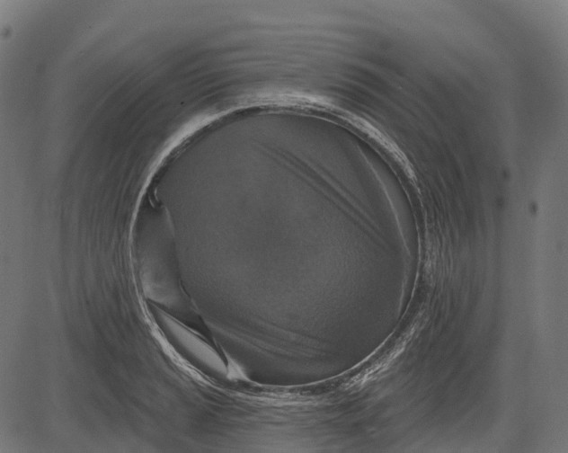 X0000084521037200703091557