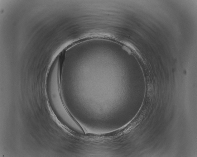 X0000084521038200703091557