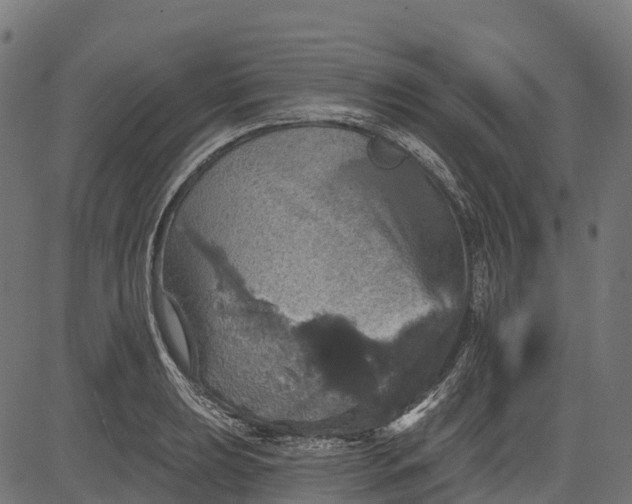 X0000084521039200703091557