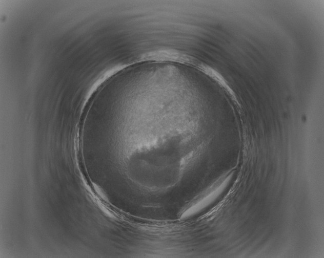 X0000084521040200703091557