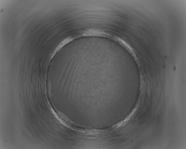 X0000084521041200703091557