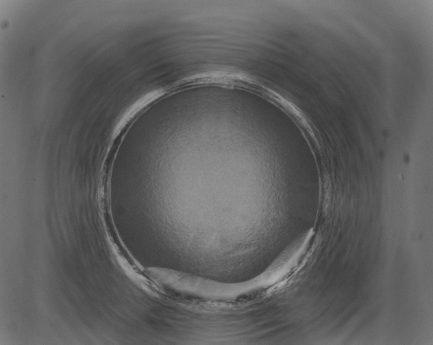 X0000084521042200703091557