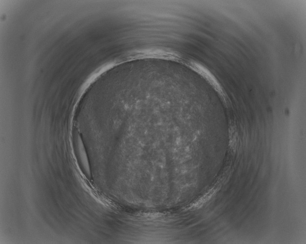 X0000084521043200703091557