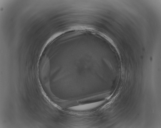 X0000084521045200703091557