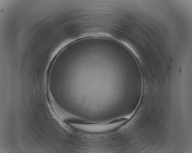 X0000084521046200703091557