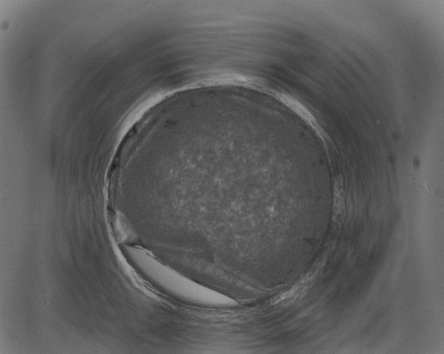 X0000084521047200703091557