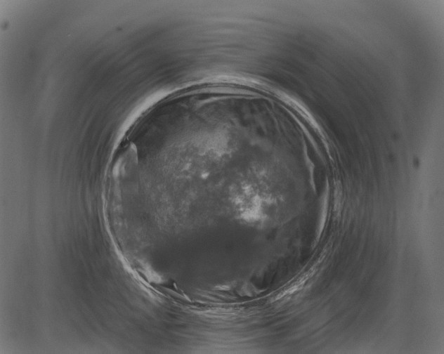 X0000084521048200703091557