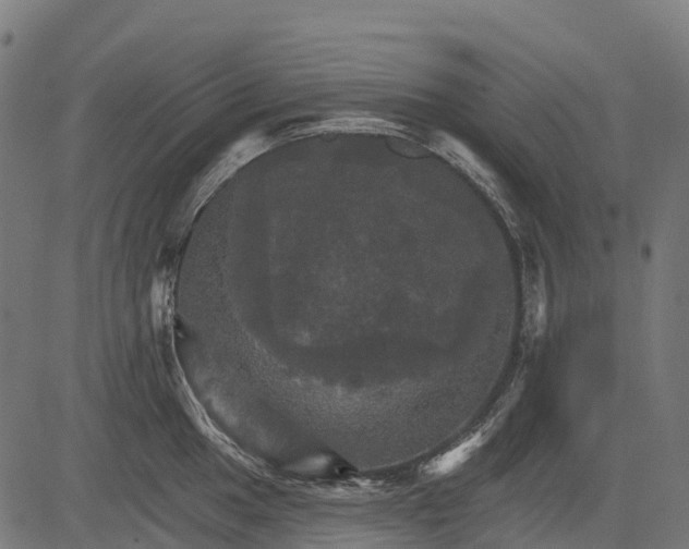 X0000084521049200703091557