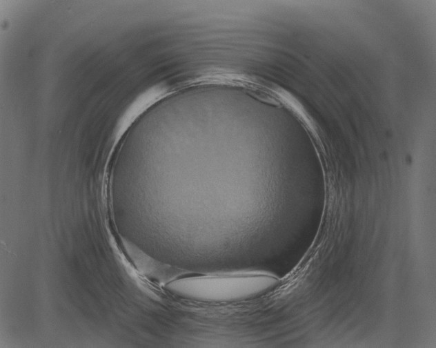 X0000084521050200703091557