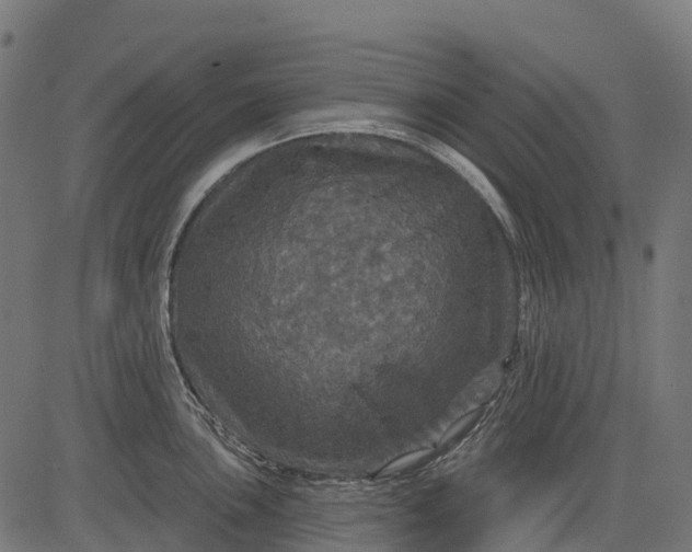 X0000084521051200703091557