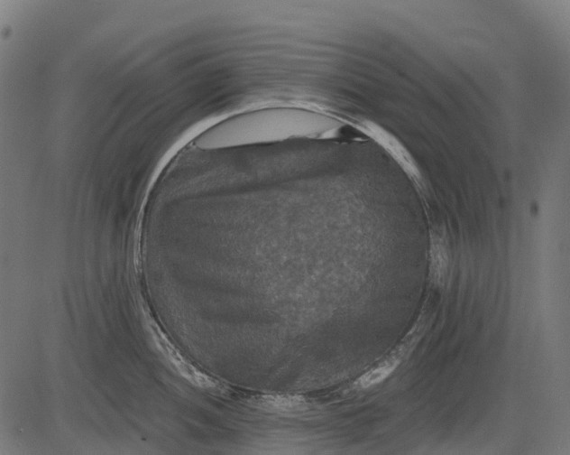 X0000084521052200703091557