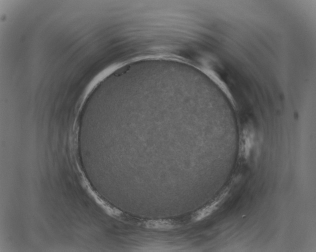 X0000084521053200703091557