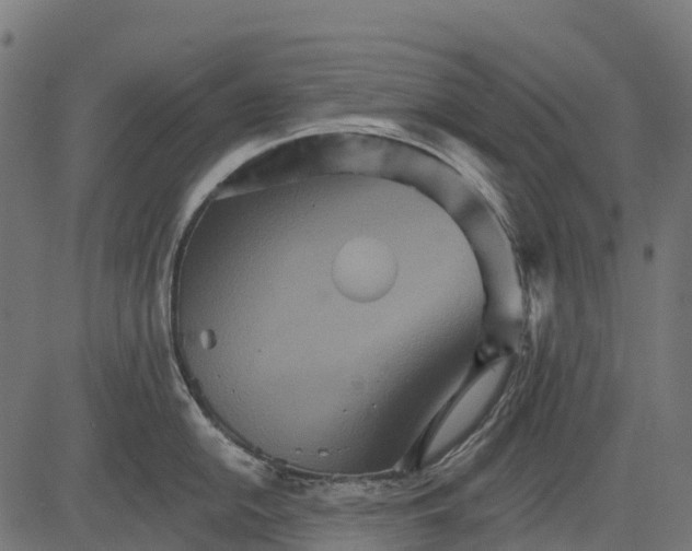 X0000084521054200703091557