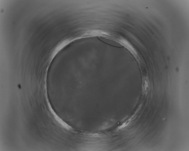 X0000084521055200703091557