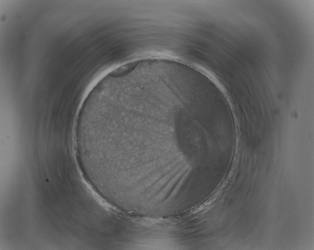 X0000084521056200703091557