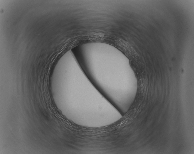 X0000084521057200703091556