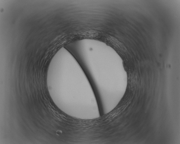 X0000084521058200703091556