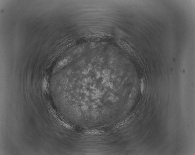 X0000084521059200703091556