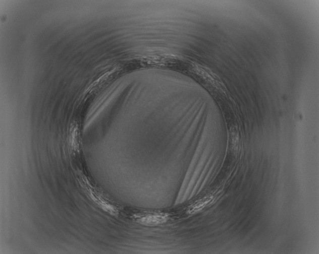 X0000084521060200703091556