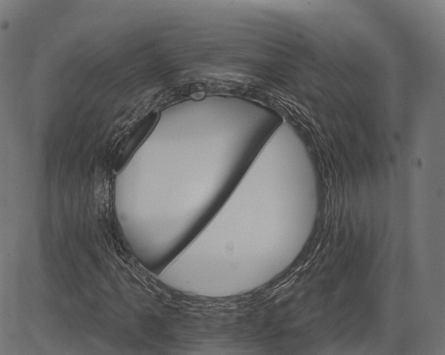 X0000084521061200703091556