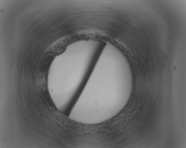 X0000084521062200703091556