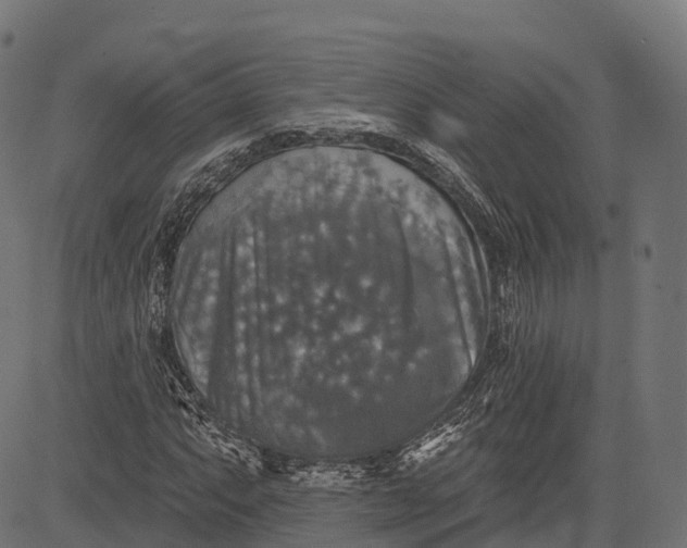 X0000084521063200703091556