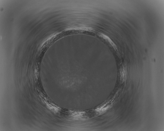 X0000084521064200703091556